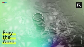 two wedding rings on a wet floor